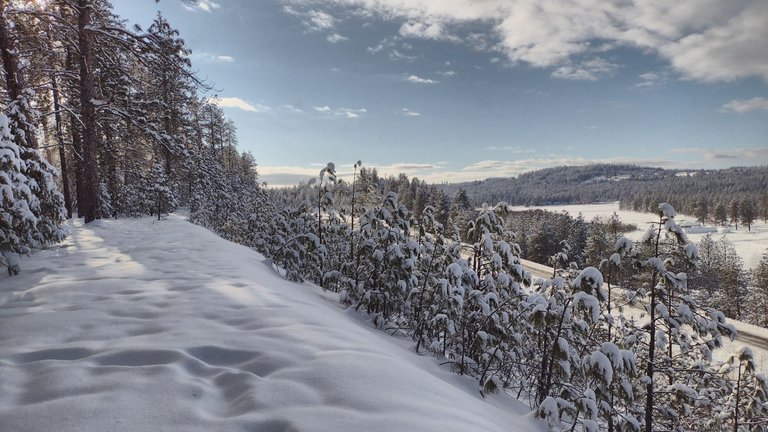 IMG_20221221_124305_HDR.jpg