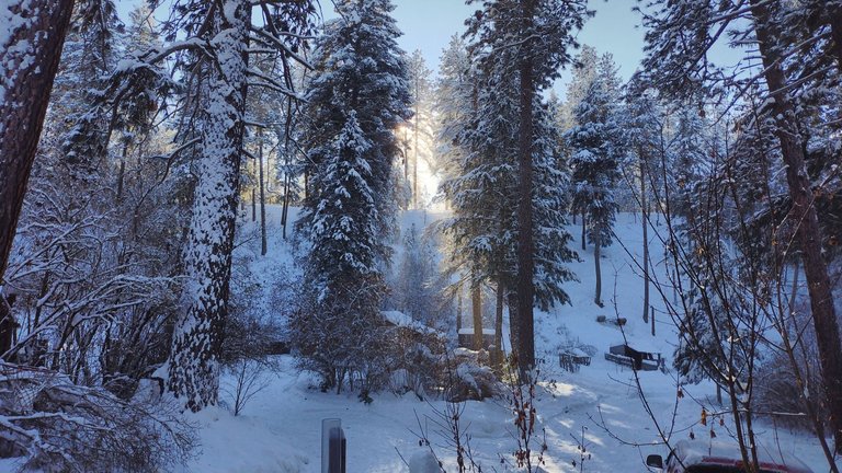 IMG_20221221_120219_HDR.jpg
