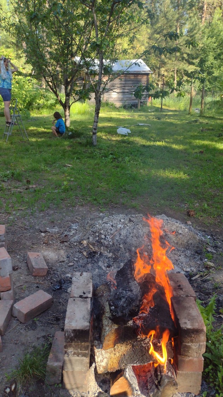 IMG_20250530_173154.jpg