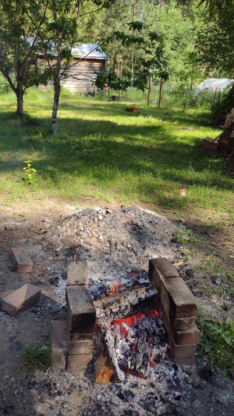 IMG_20250605_164845.jpg