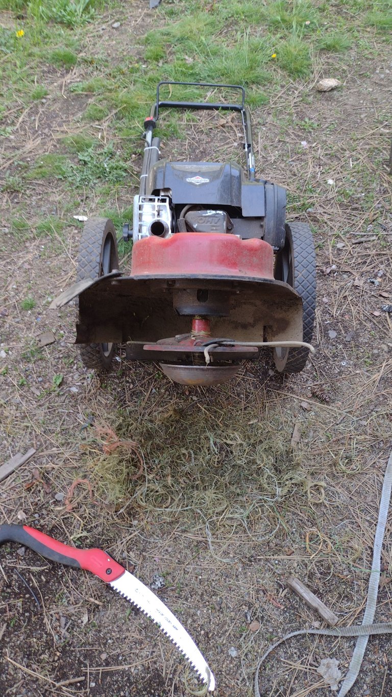IMG_20250430_155459.jpg
