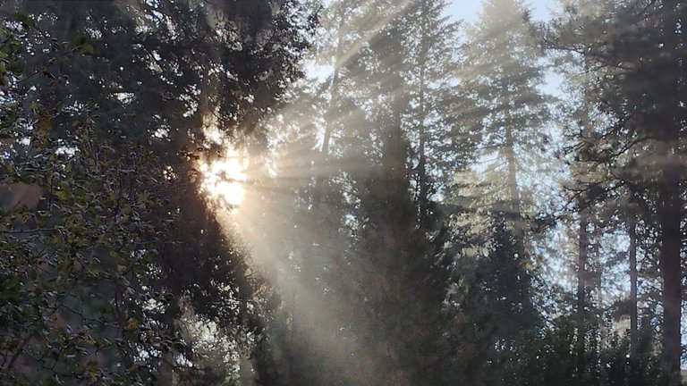 IMG_20221001_090448_HDR.jpg