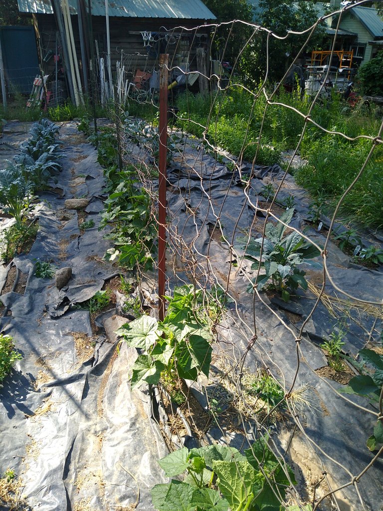 IMG_20210701_165529.jpg