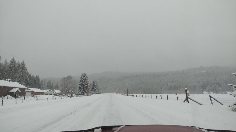 IMG_20250216_115448.jpg