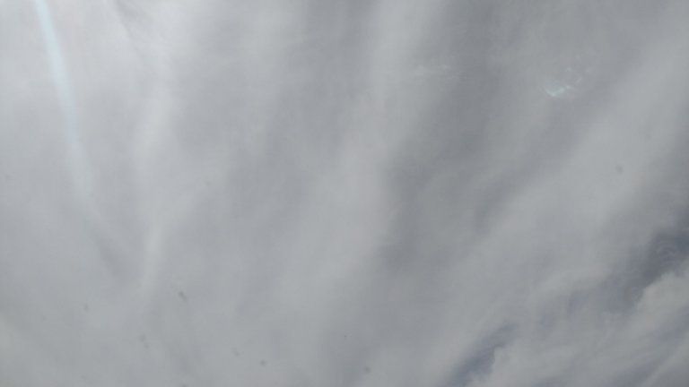 IMG_20250509_133935.jpg