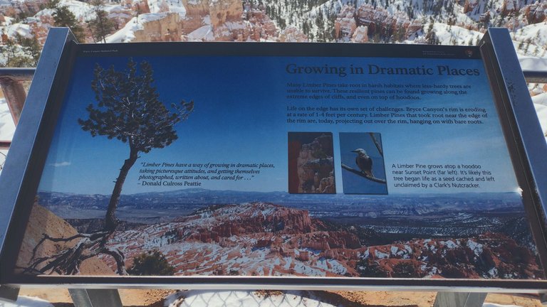 IMG_20230226_102613_HDR.jpg