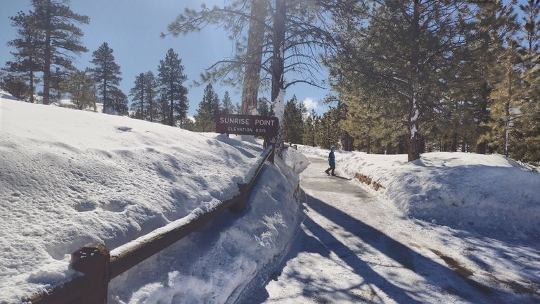 IMG_20230226_101852_HDR.jpg