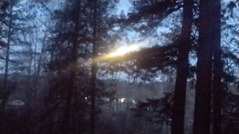 IMG_20250314_063823.jpg
