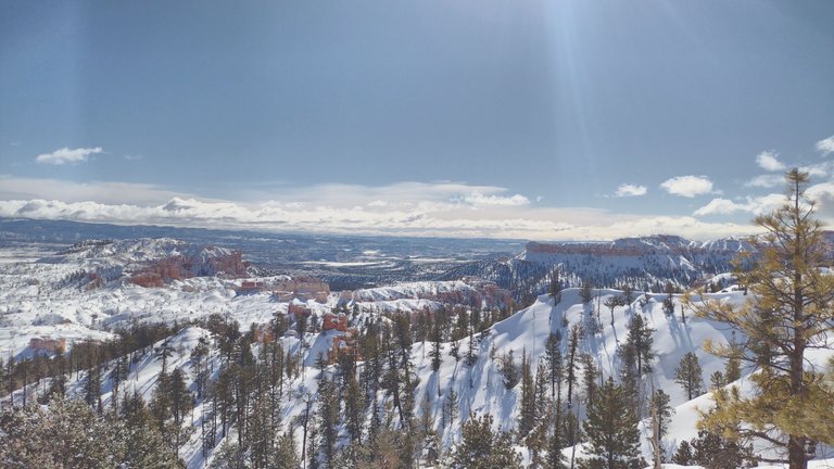 IMG_20230226_102119_HDR.jpg
