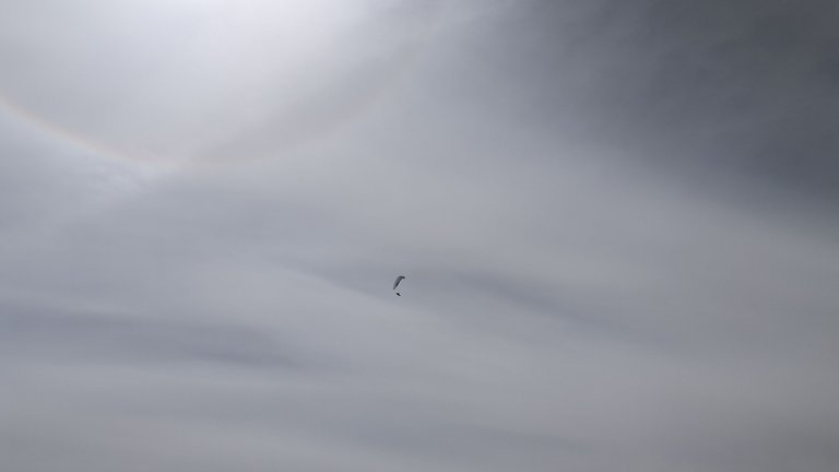 IMG_20250720_120718.jpg