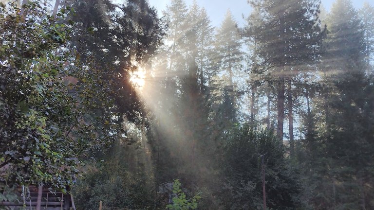 IMG_20221001_090442_HDR.jpg