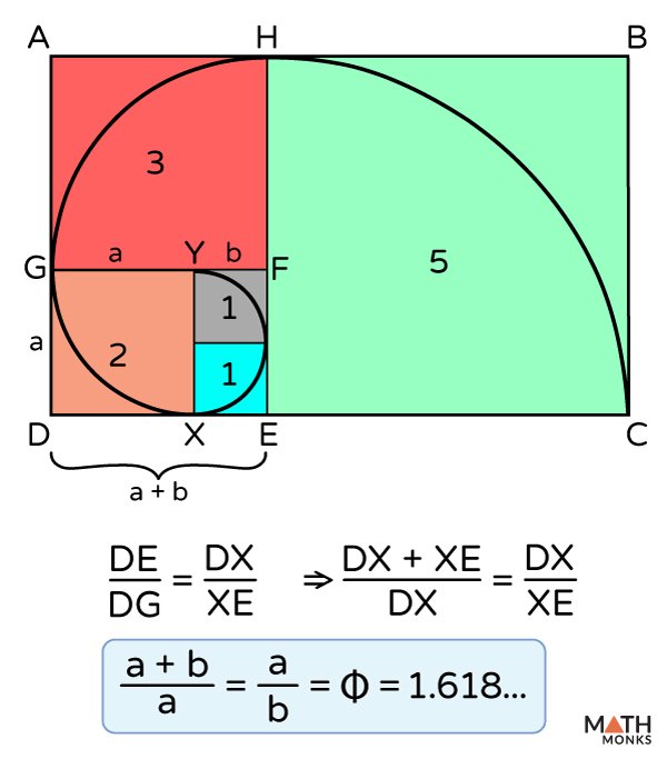 Golden-Ratio.jpg