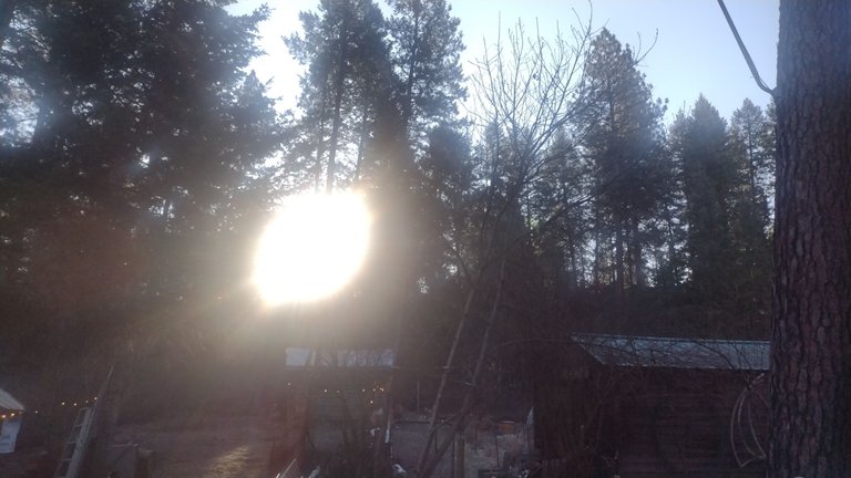 IMG_20250318_083114.jpg