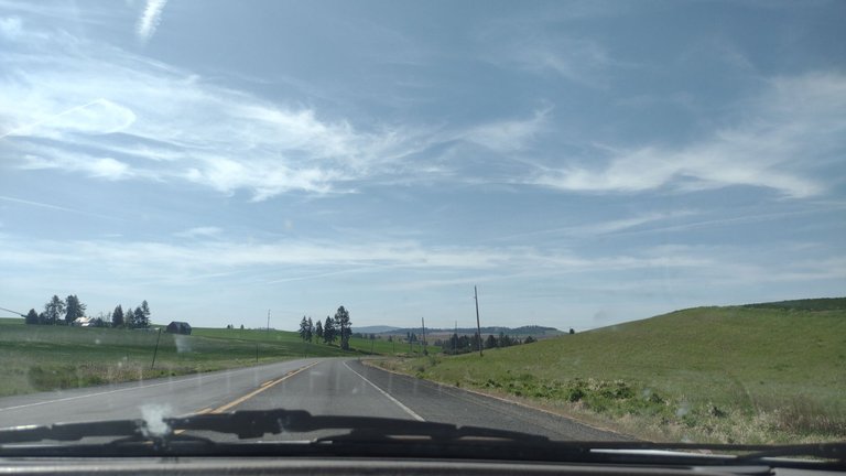 IMG_20250509_100258.jpg