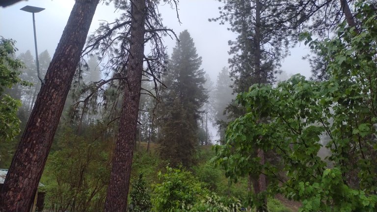 IMG_20250520_054513.jpg