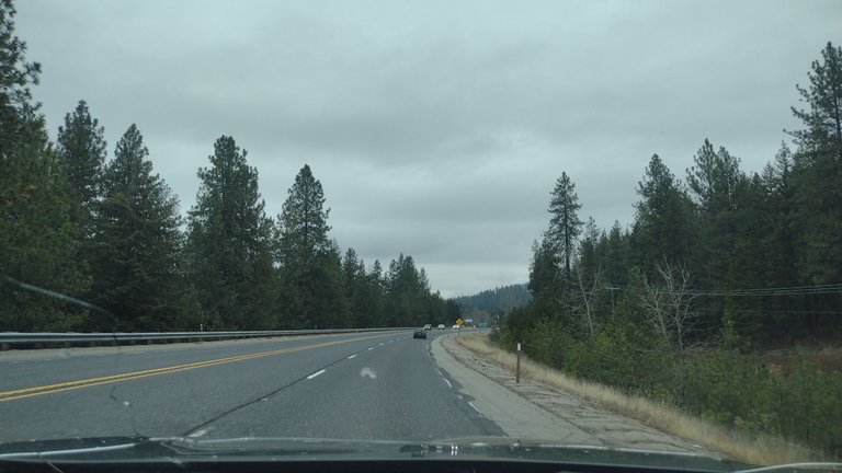 IMG_20241128_125030.jpg