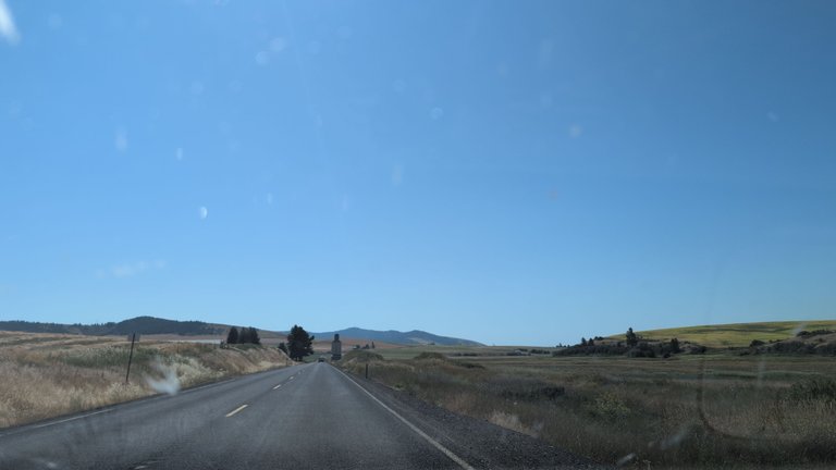 IMG_20250718_102805.jpg