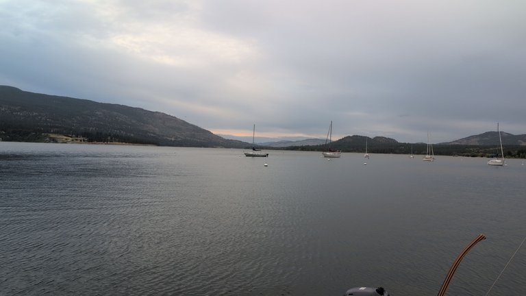 IMG_20250704_200711.jpg