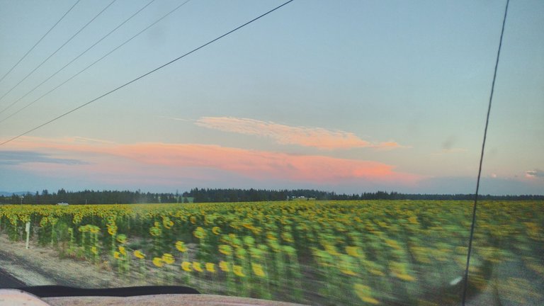 IMG_20220811_201015_HDR.jpg