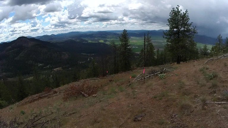 vlcsnap-2025-05-21-16h26m33s727.jpg