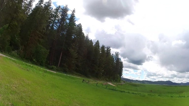 vlcsnap-2025-05-21-16h30m43s699.jpg