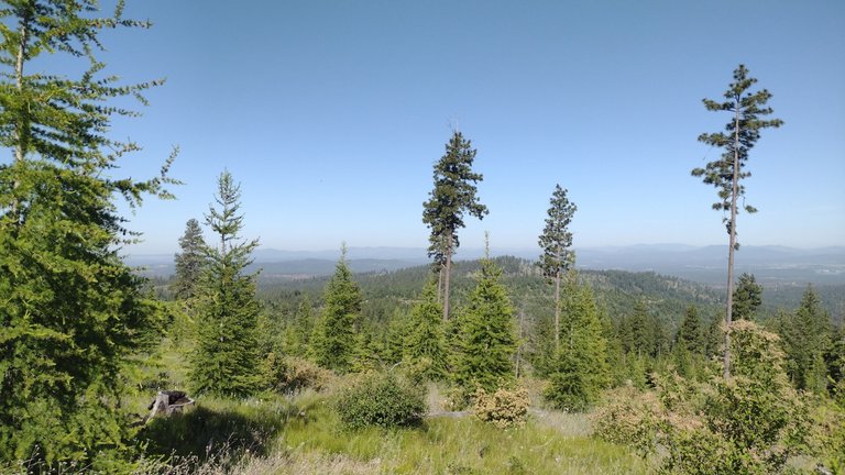 IMG_20250610_090021.jpg