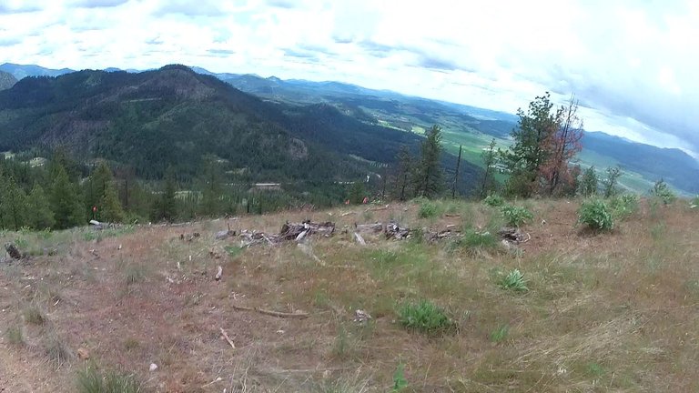 vlcsnap-2025-05-21-16h26m28s554.jpg