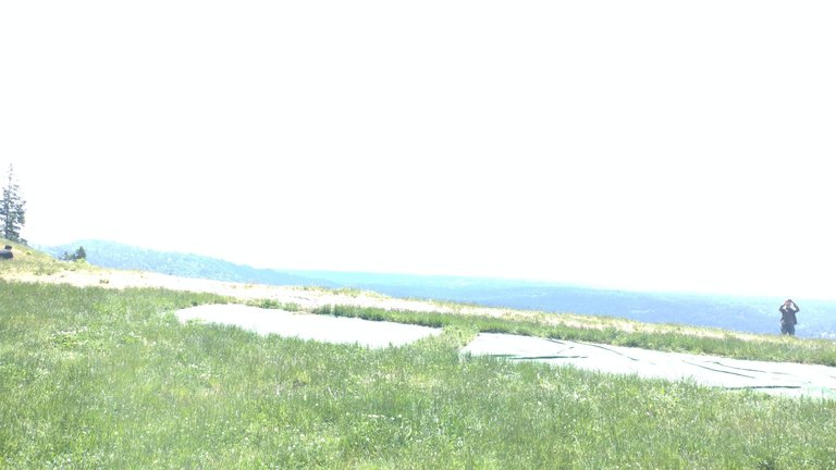 IMG_20250607_122826.jpg