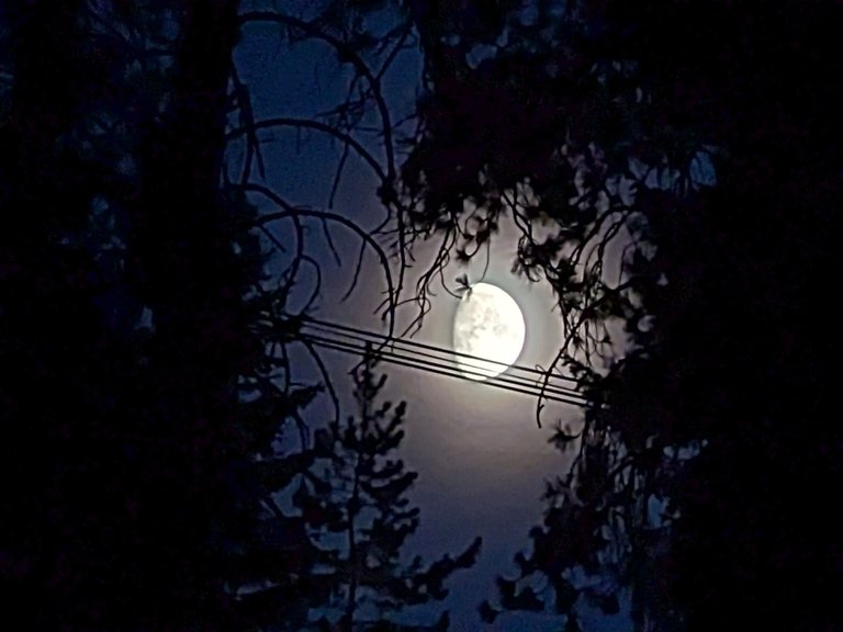 IMG_20250803_210050_Night.jpg