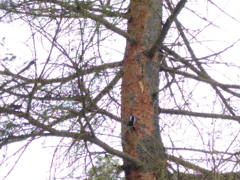 IMG_20220310_091828.jpg