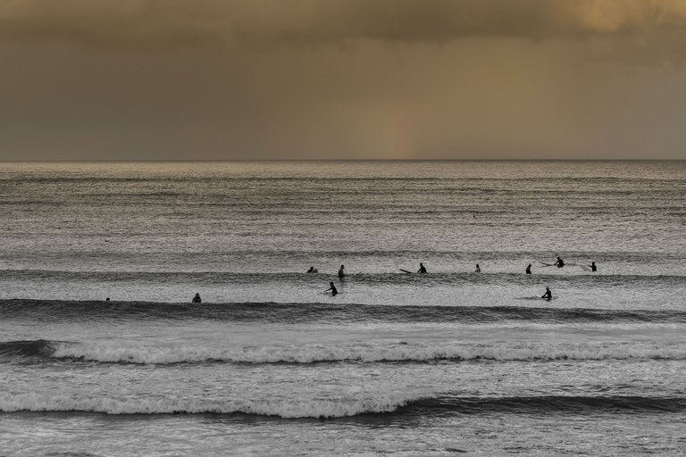 DSC_3563.jpg