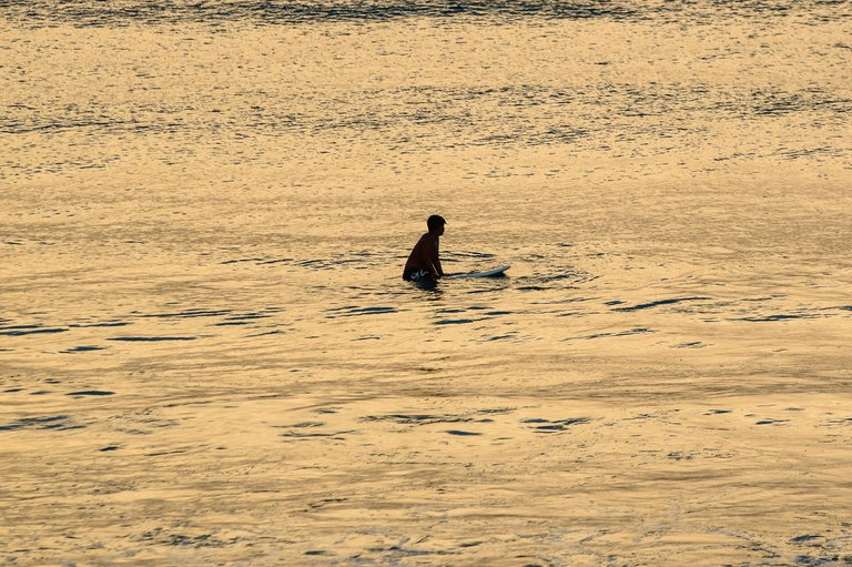 DSC_3689.jpg