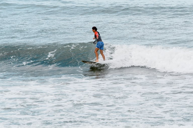 DSC_2226.jpg