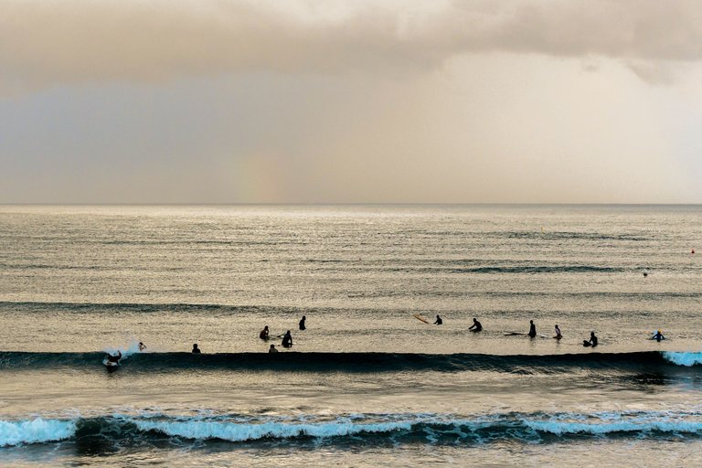 DSC_3535.jpg