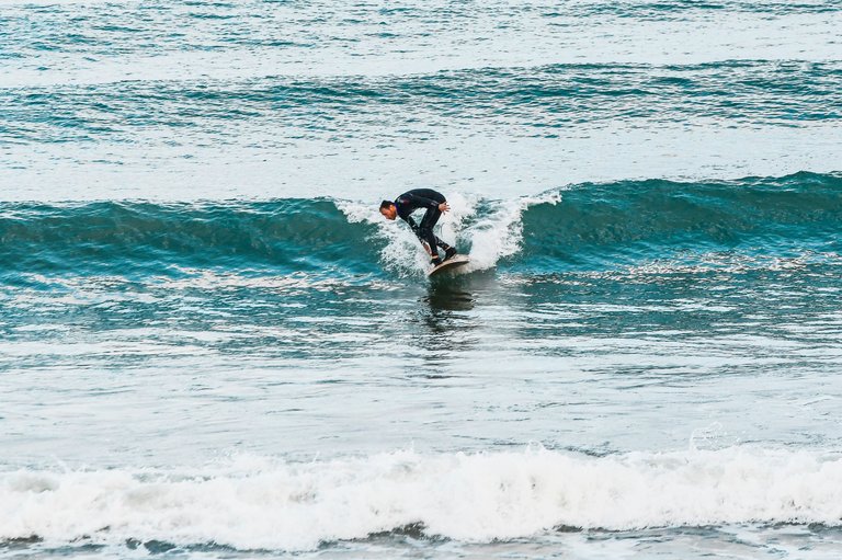 DSC_3121.jpg