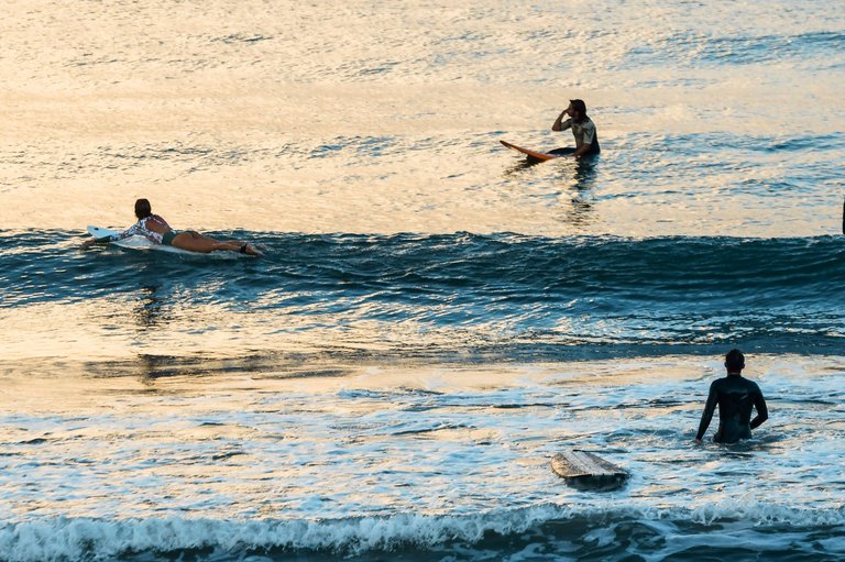DSC_3697.jpg