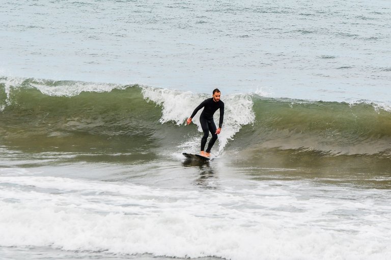 DSC_2452.jpg
