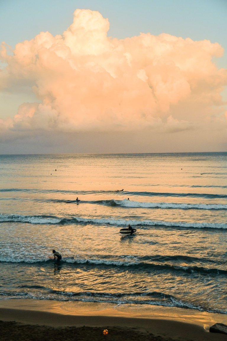 DSC_3729.jpg