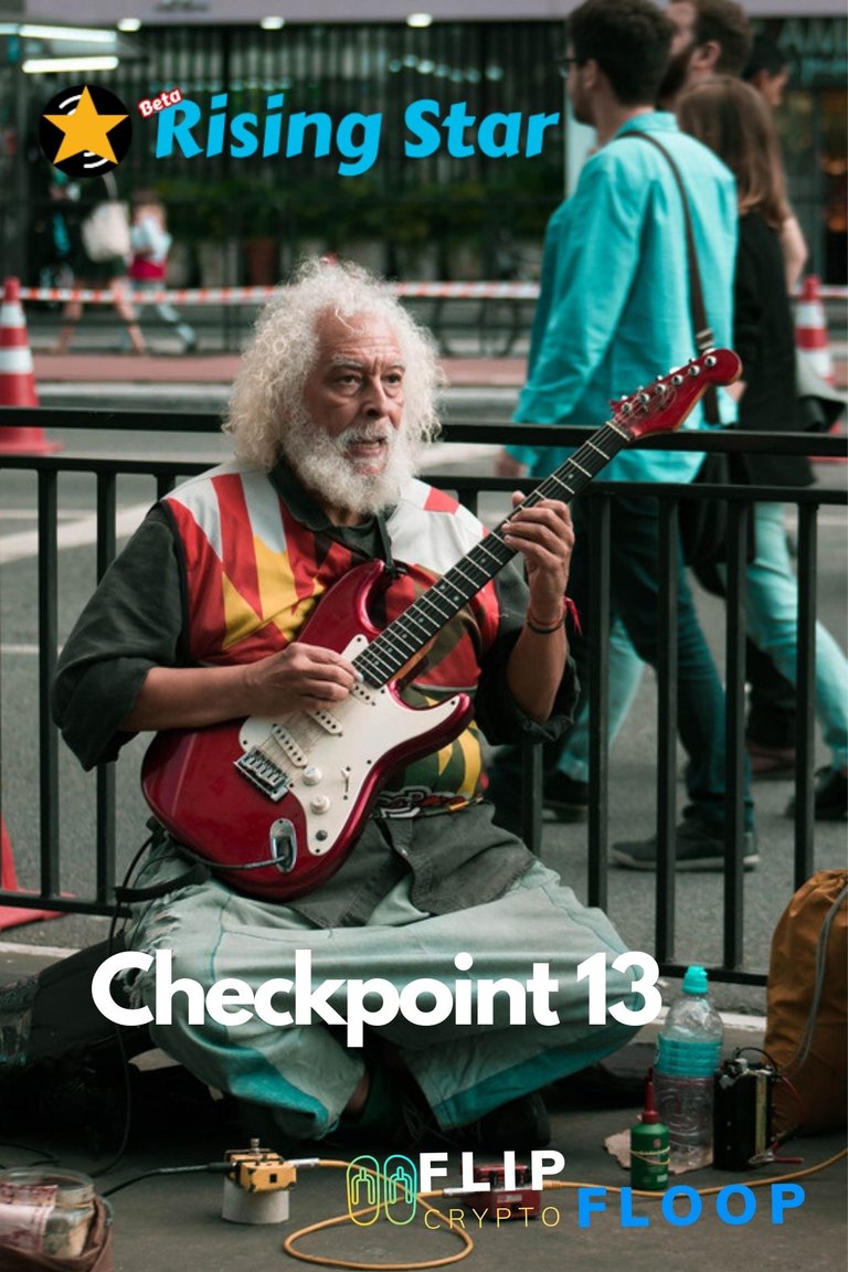 Checkpoint 13.jpg