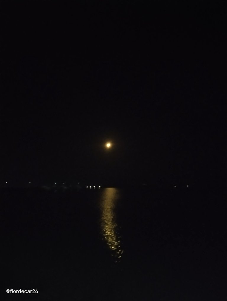IMG_20250801_222131.jpg