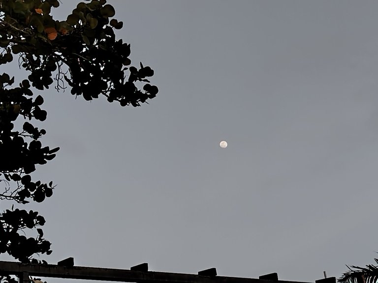 IMG_20250608_183133.jpg