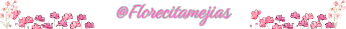 @Florecitamejias (2).png
