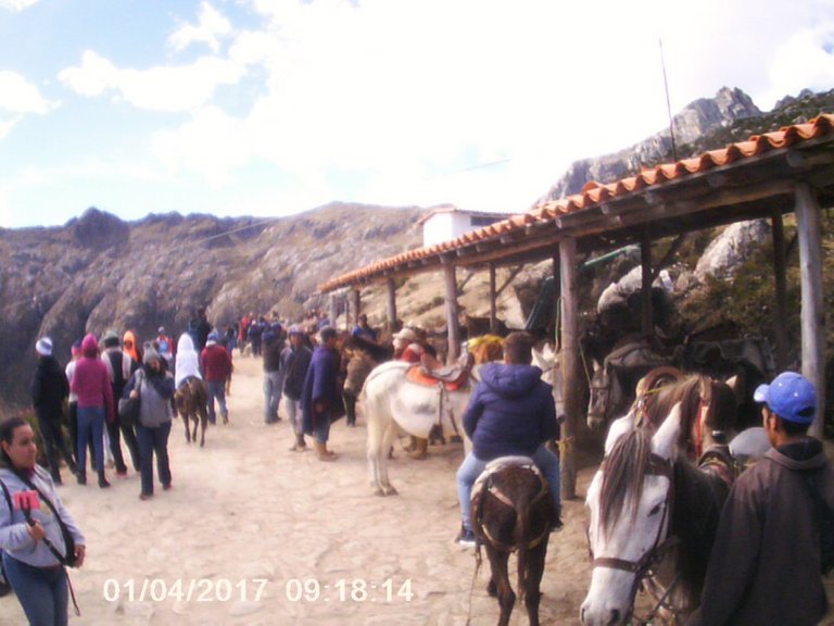 PICT0262.jpg