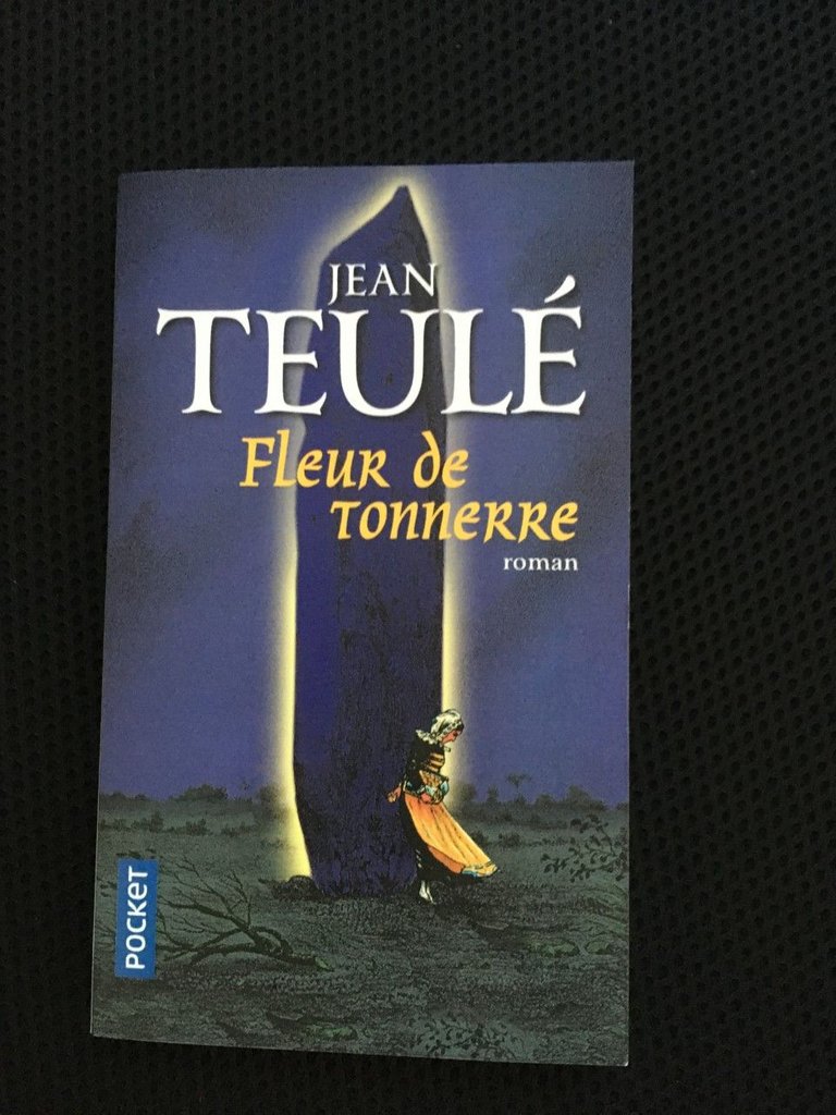 livre Jean Teulé Fleur de Tonnerre.jpg