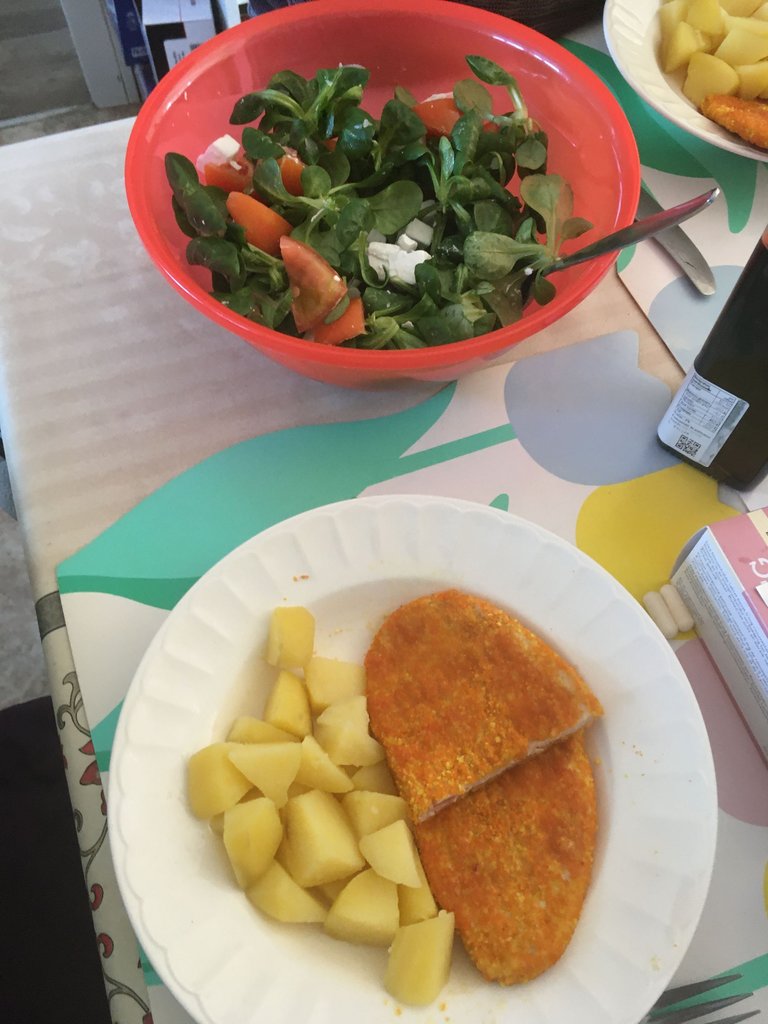 2mar25 schnitzel pdt salade greek tomate echalotes vinaigre noix prune.JPG