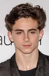 timothee chalamet.webp