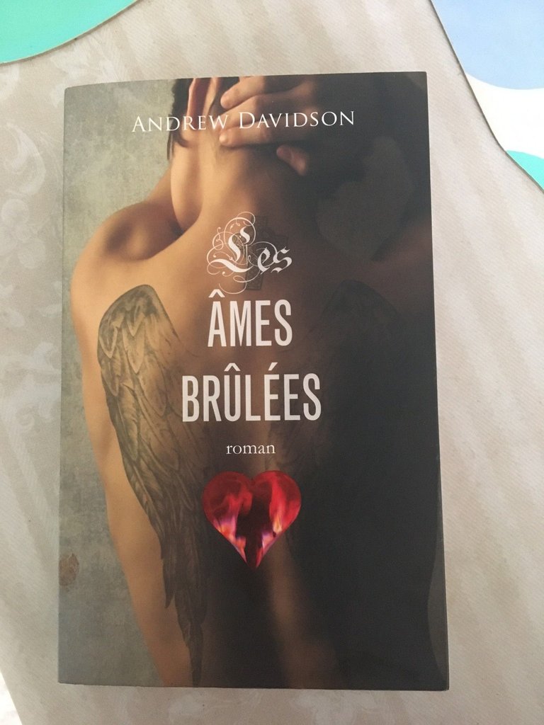 Les Âmes Brûlées, d'Andrew Davidson (livre)