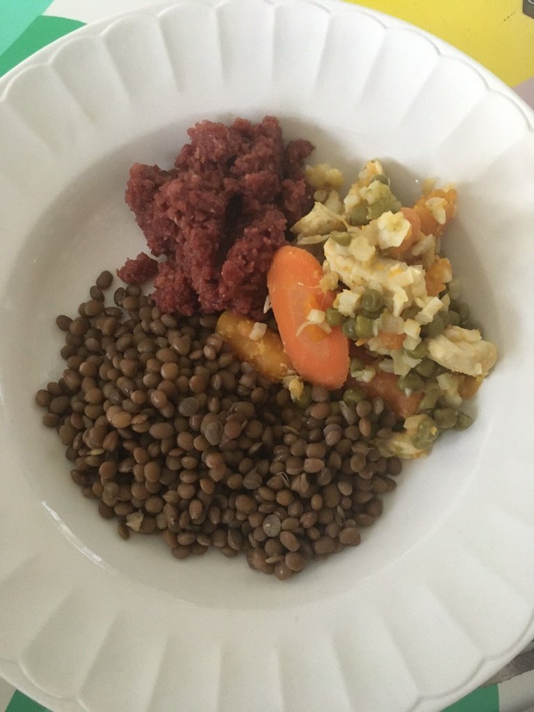 13aug25 corned beef lentilles fin poulet pois carottes.jpg