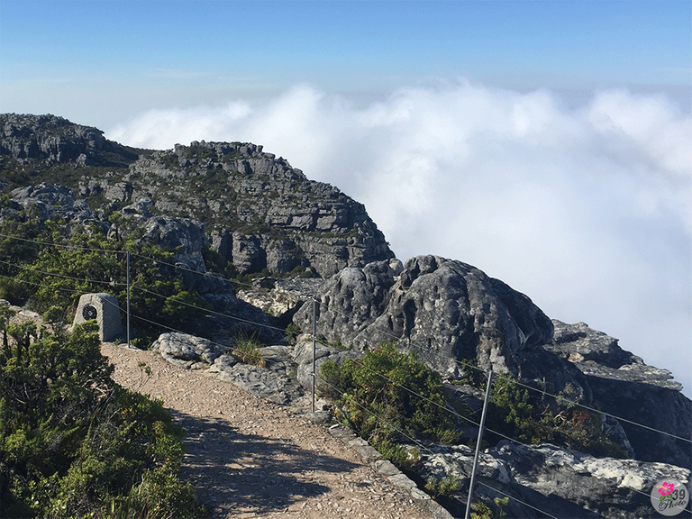 Table-Mountain-14.png