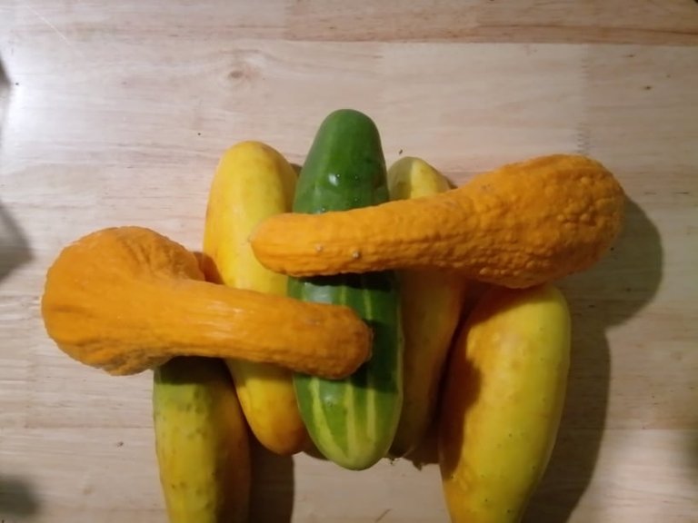 cucumbers.jpg